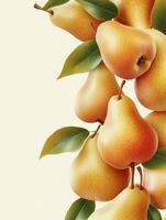 Ripe Pears Hanging with Green Leaves Isolated on Neutral Background photo