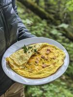 Holding Omelet Plate with Ham and Cheese in Natural Woodland Setting photo