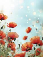 Blooming Red Poppies Against Soft Blue Sky Background with Bokeh Lights photo