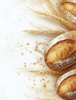 Fresh Baked Bread Loaves with Wheat Stalks on White Background photo