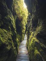 Walking Narrow Canyon Path with Moss Covered Rocks and Green Vegetation photo