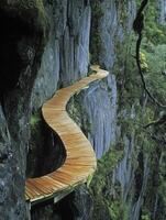 Walking the Wooden Cliffside Path Exploring Nature's Beauty on the Edge photo