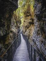 Walking the Canyon Pathway a Scenic Journey Through a Rock Gorge photo