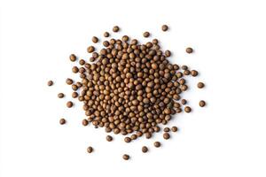 Pile of Brown Mustard Seeds Isolated on White Background Studio Shot photo
