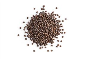 Pile of Buckthorn Seeds Scattered on a White Background Still Life photo