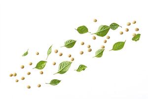 Scattered Soybeans and Green Leaves on White Background for Product Mockups photo