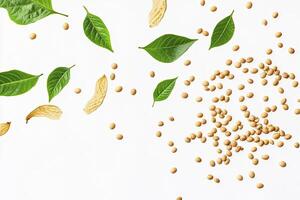 Soybean and Green Leaf Layout on White Background for Healthy Food photo
