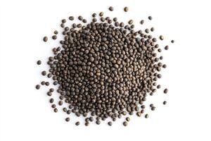 Pile of Black Beluga Lentils Isolated on White Background for Food Photography photo