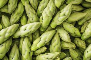 Fresh Green Asparagus Pile Close-up for Healthy Eating and Diet photo