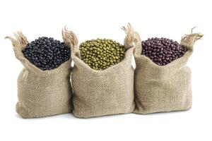 Bags with Black Beans Mung Beans and Red Beans Isolated on White photo