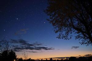 Observing Starry Night Sky Over Silhouette of Trees During Twilight photo