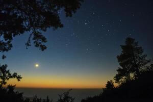 Observing Night Sky with Stars, Moon and Tree Silhouettes in Nature photo