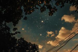 Gazing at Stars in Night Sky Framed by Trees and Clouds photo
