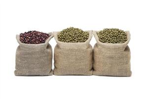 Three Bags Filled with Different Dry Beans on a White Background photo