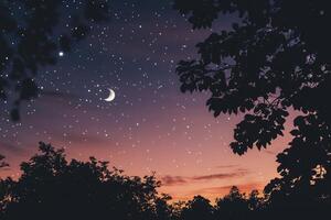 Starry Night Sky with Crescent Moon and Tree Silhouettes photo