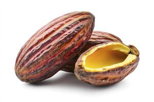 Tres cacao vainas uno abrió demostración pulpa, aislado en blanco antecedentes foto