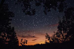 Starry Night Sky with Glowing Horizon Silhouetted Trees Scenery photo