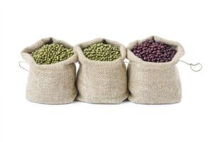 Beans Assortment in Burlap Sacks Green Mung and Red Kidney photo