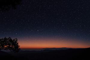 Observing Night Sky with Stars and Silhouette of Tree and Mountains photo