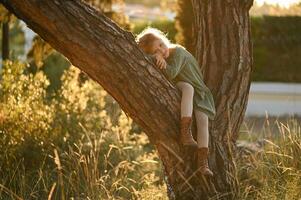 At dawn in the countryside, a young girl climbs a sturdy tree and rests on its thick branch. Wrapped in the soft morning glow, , enjoying the start of the day as the golden light filters t photo