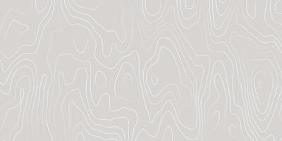 Abstract Topographic Map Background. Minimalist Contour Line Design in Soft Gray vector