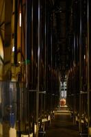 A row of shiny metal fermentation tanks used for winemaking in a modern production facility. photo