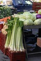 Sunlight filters through the market stalls, illuminating vibrant greens, ripe tomatoes, and an impressively large leek resting atop a pile of carrots. photo