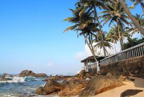 Seascape with a small cafe on the seashore. Waves crashing on coastal rocks and cliffs, tropical coconut palms and blue sky on a sunny day. Travel, recreation and tourism. photo