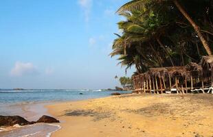 Tropical beach with golden sand, palm trees, and wooden huts by the sea, ideal for a summer vacation, tropical getaway, or relaxing holiday by the ocean photo