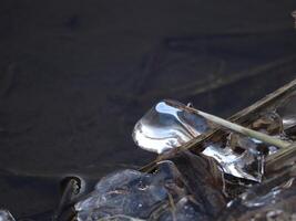 Natural Ice Sculpture on Reed Stem Resembling Frozen Glass Drop photo
