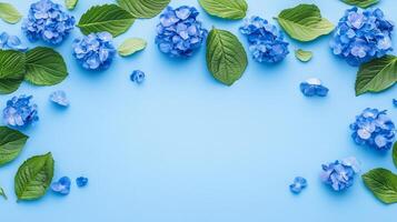 Blue Hydrangea Flowers And Green Leaves Border On A Light Blue Background With Copy Space photo