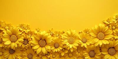 Vibrant Yellow Chrysanthemum Flowers Border on Yellow Background, Copy Space for Text photo