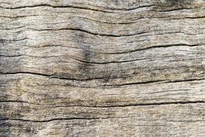 This image showcases a light brown wooden texture with clear grain patterns, ideal for adding a natural touch to design projects, backgrounds, or any creative work requiring a rustic feel. photo