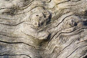 This image showcases a light brown wood grain texture adorned with a cheerful smiley face, creating a unique and inviting visual. The intricate details of the wood grain add to its charm. photo
