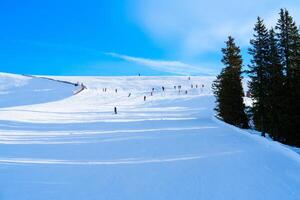 Skiers of all ages enjoy fresh snow on a sunny winter day at the ski resort. They carve down groomed slopes, surrounded by snow-covered trees and majestic mountains. photo