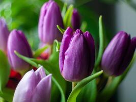 A bunch of purple tulips are in a vase photo