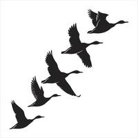 Wild duck flying set silhouette and Duck vector