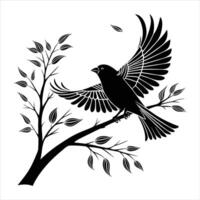 Bird in Flight from Tree Branch Wildlife vector