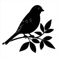 Finch Perched Branch vector
