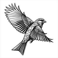 Sparrow High Quality vector