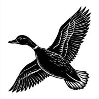 Flying Duck Drawing vector