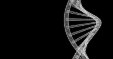 Hologram screen 3d of DNA chain strand gyrating - loop video