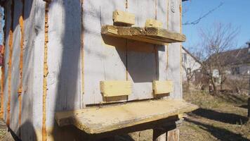 A rustic wooden structure that features attractive yellow planks, perfect for various outdoor settings and projects video