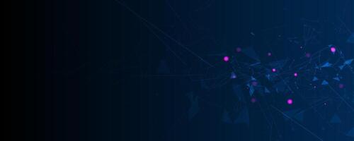 Neural network connections vector