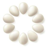 Blank render, white shell duck egg. Easter background , happy spring 3d oval bead concept. Large sphere surface, isolated clean food. Farm protein whole nest illustration. Organic breakfast vector