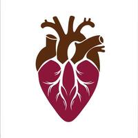 Anatomical coloring heart outline minimalist design icon. vector