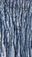 Aerial View reveals the intricate patterns of deep crevasses and textured ice on a Svinafellsjokull Glacier in Iceland. Vertical footage video