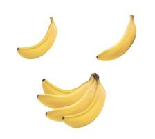 Realistic illustration of banana and of bunch of bananas, banana icon, banana image vector