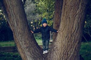 Cute boy standing on tree trunk photo