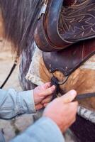 Man hands placing saddle on a horse photo